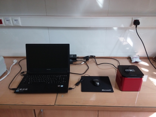 Real Time PCR