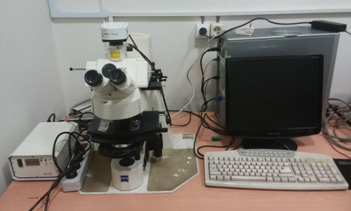 میکروسکوپ فلورسانس  Direct Fluorescence Microscope