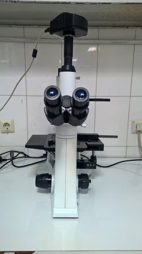 میکروسکوپ معکوس  فلورسانس     Inverted  Fluorescence  Microscope