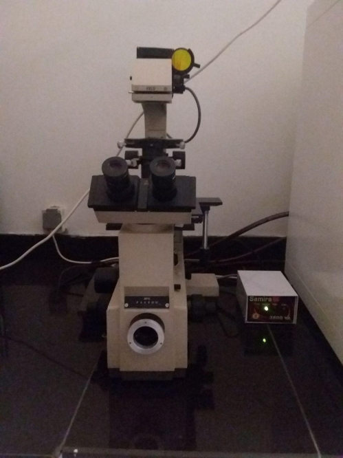 میکروسکوپ معکوس Inverted Microscope
